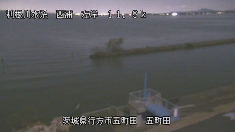 seigan2025120420_image