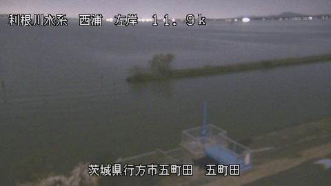 seigan2025120421_image