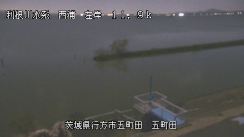 seigan2025120500_image