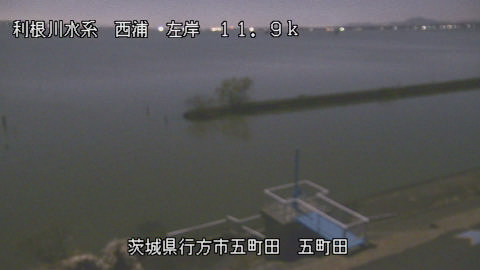 seigan2025120501_image