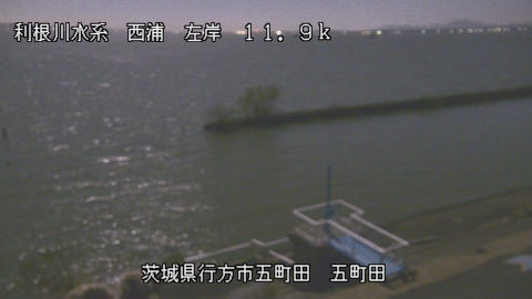 seigan2025120502_image