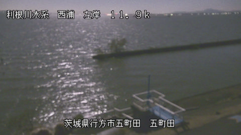 seigan2025120503_image