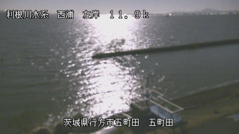 seigan2025120504_image