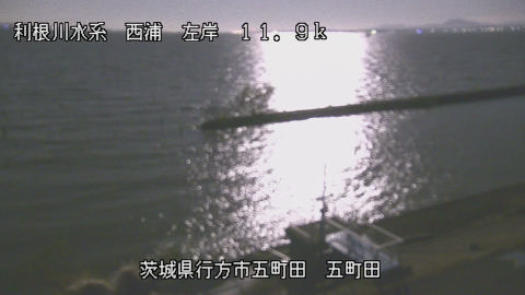 seigan2025120505_image