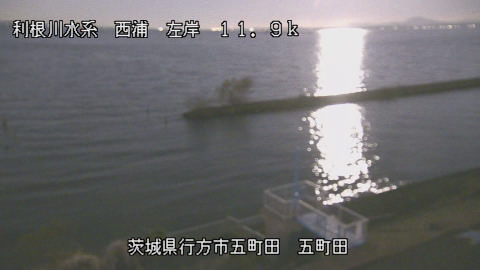 seigan2025120506_image