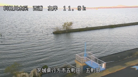 seigan2025120507_image