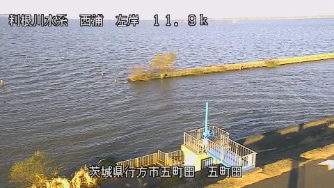 seigan2025120508_image