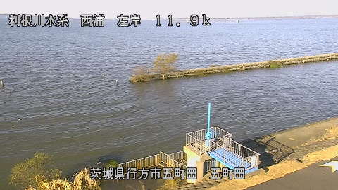 seigan2025120509_image