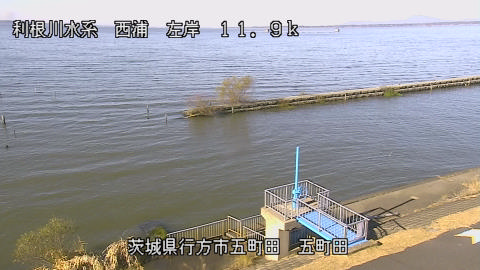 seigan2025120510_image