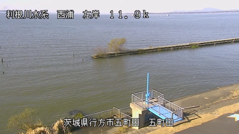 seigan2025120511_image