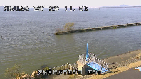 seigan2025120512_image