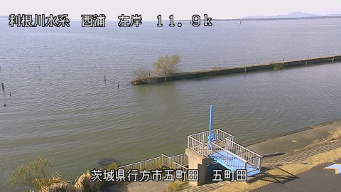 seigan2025120513_image