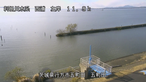 seigan2025120514_image