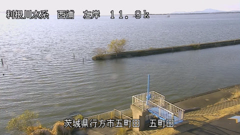 seigan2025120515_image