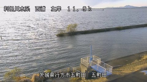 seigan2025120516_image