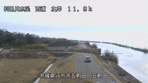 seigan2026010512_image