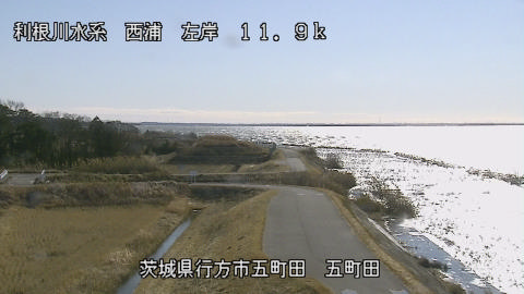 seigan2026010612_image