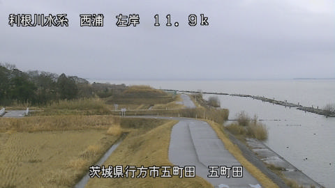 seigan2026010712_image