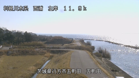 seigan2026010812_image