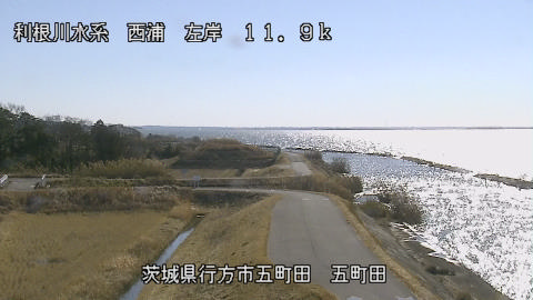 seigan2026010912_image