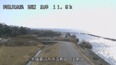 seigan2026011012_image