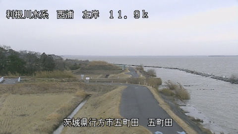 seigan2026011112_image