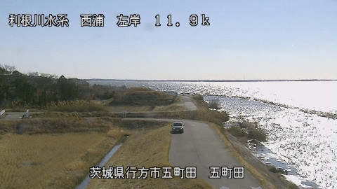 seigan2026011212_image