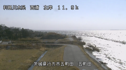 seigan2026011312_image