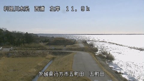 seigan2026011412_image