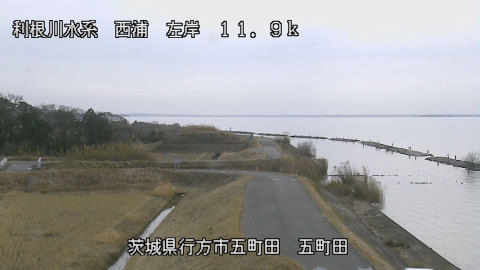 seigan2026011512_image