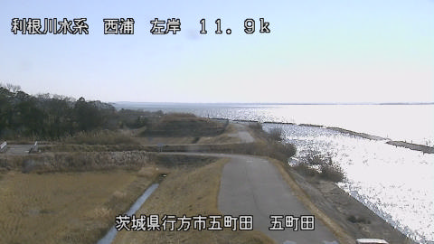 seigan2026011612_image