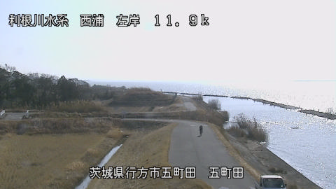 seigan2026011712_image