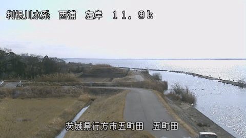 seigan2026011812_image