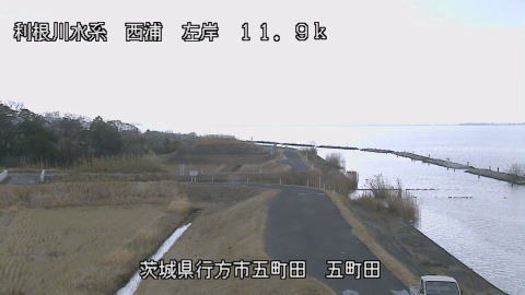 seigan2026011912_image