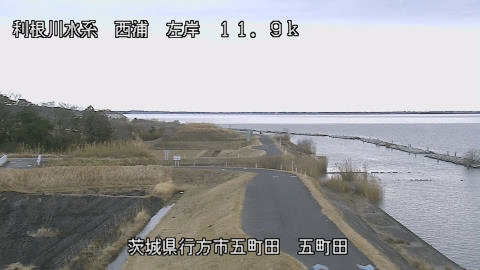 seigan2026012012_image