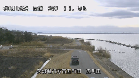 seigan2026012112_image