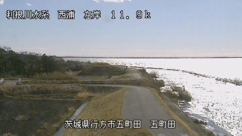 seigan2026012212_image