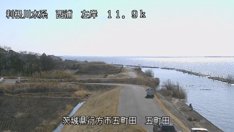 seigan2026012412_image