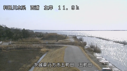 seigan2026012612_image