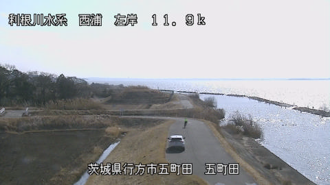 seigan2026012712_image