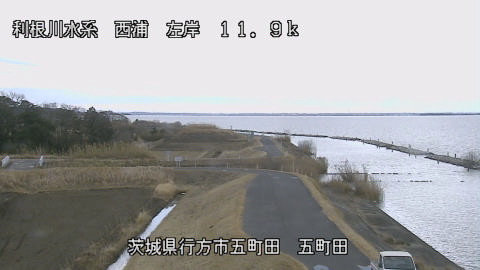 seigan2026012812_image