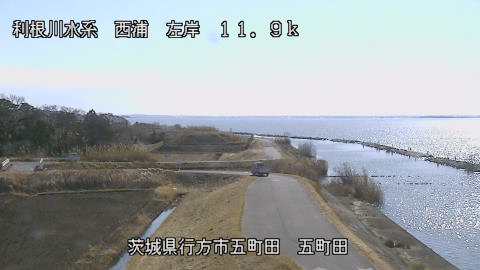 seigan2026012912_image