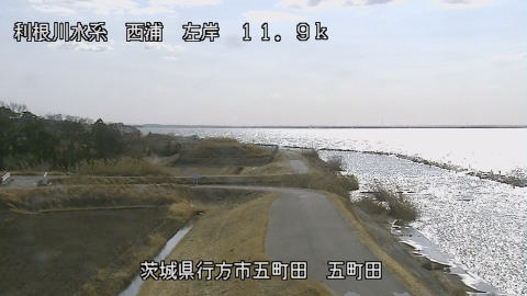 seigan2026013012_image