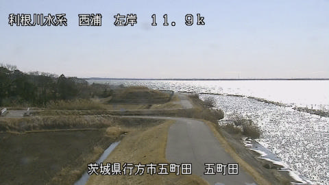 seigan2026013112_image