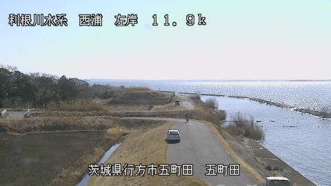 seigan2026020112_image