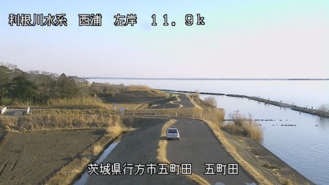 seigan2026020116_image