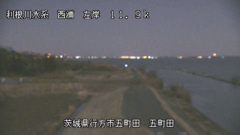 seigan2026020202_image