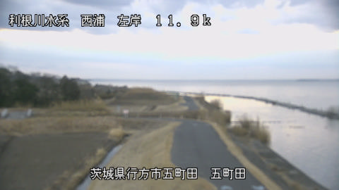 seigan2026020207_image