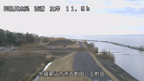 seigan2026020208_image