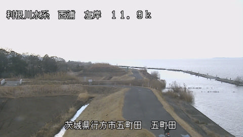 seigan2026020209_image